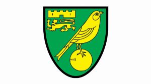 福利多多！诺维奇宣布招聘财务会计师，要求积极主动、善于分析